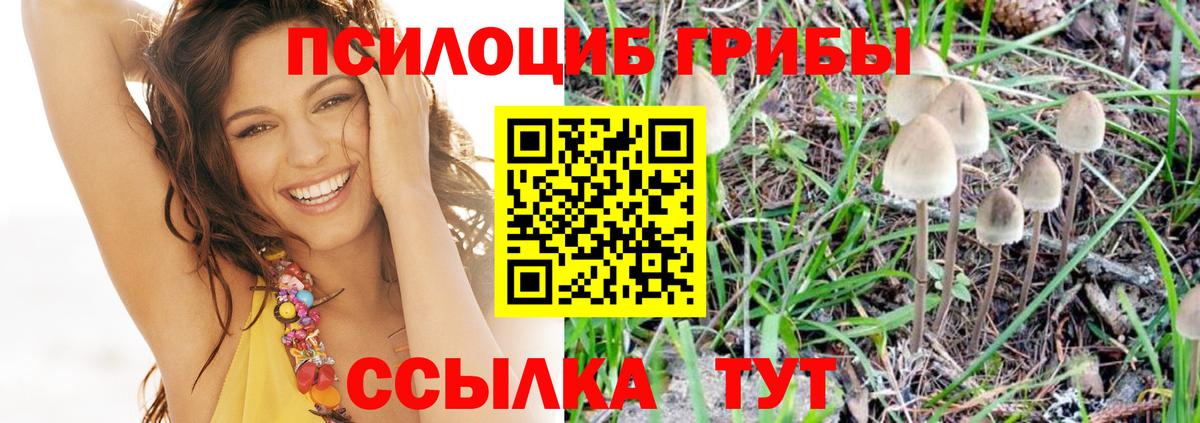 Псилоцибиновые грибы ЛСД  Вход с VPN  Краснокаменск 